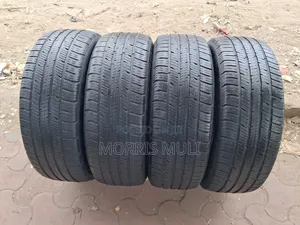 225/55r19 Bf Goodrich