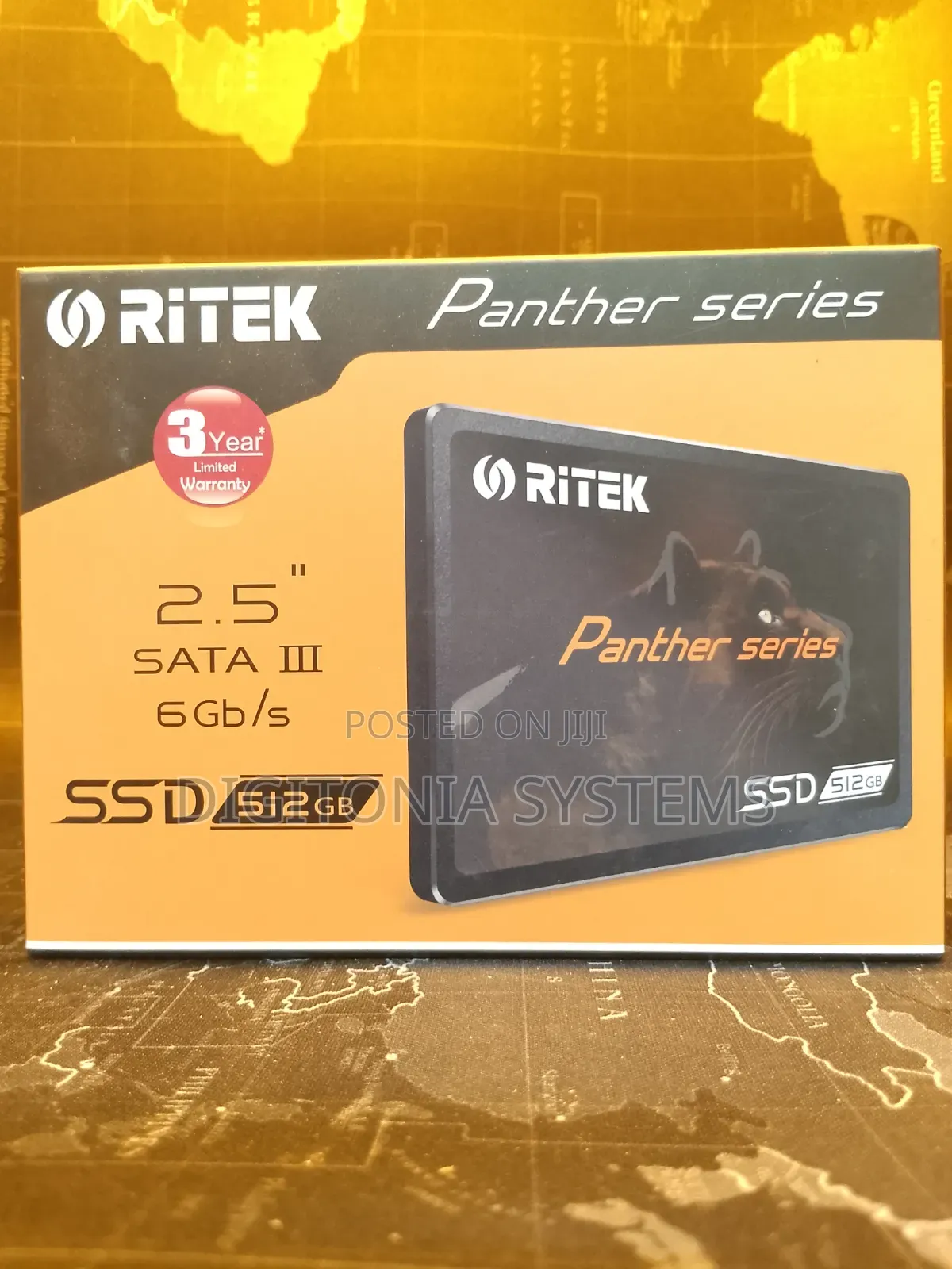 Ritek Panther Series SSD 512gb