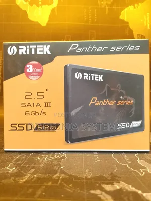 Ritek Panther Series SSD 512gb