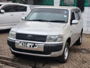 Toyota Probox 2009 Silver