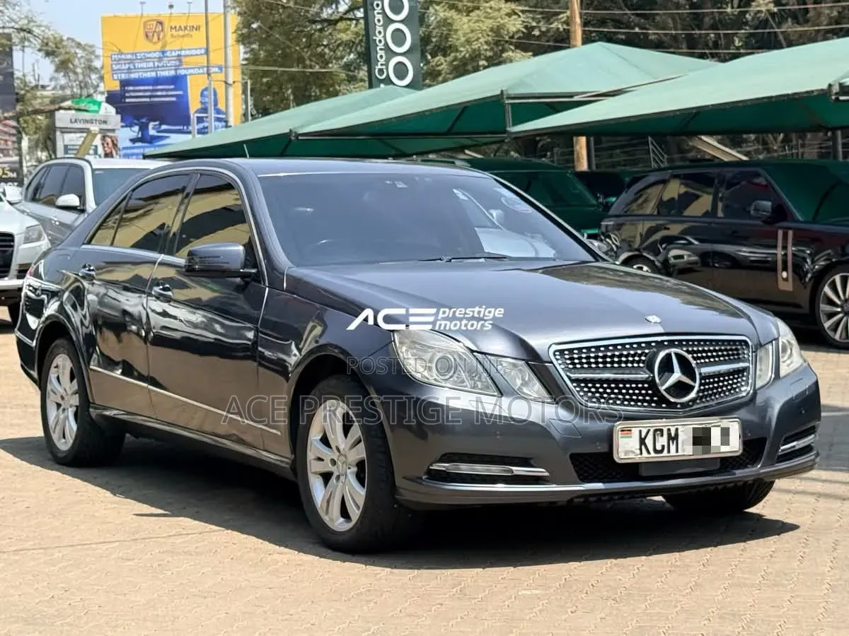 Mercedes-Benz E300 2009 Gray