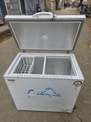 Ecomax Freezer 169ltrs