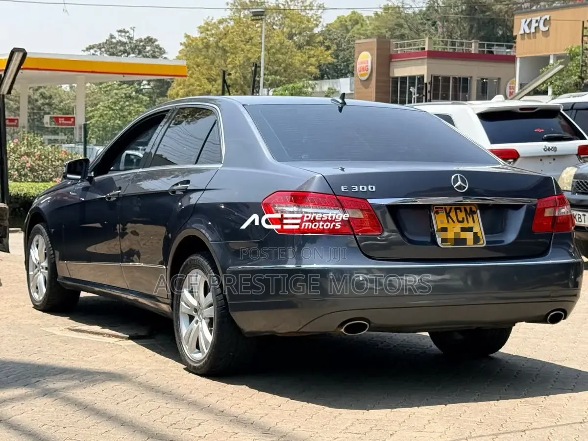 Mercedes-Benz E300 2009 Gray