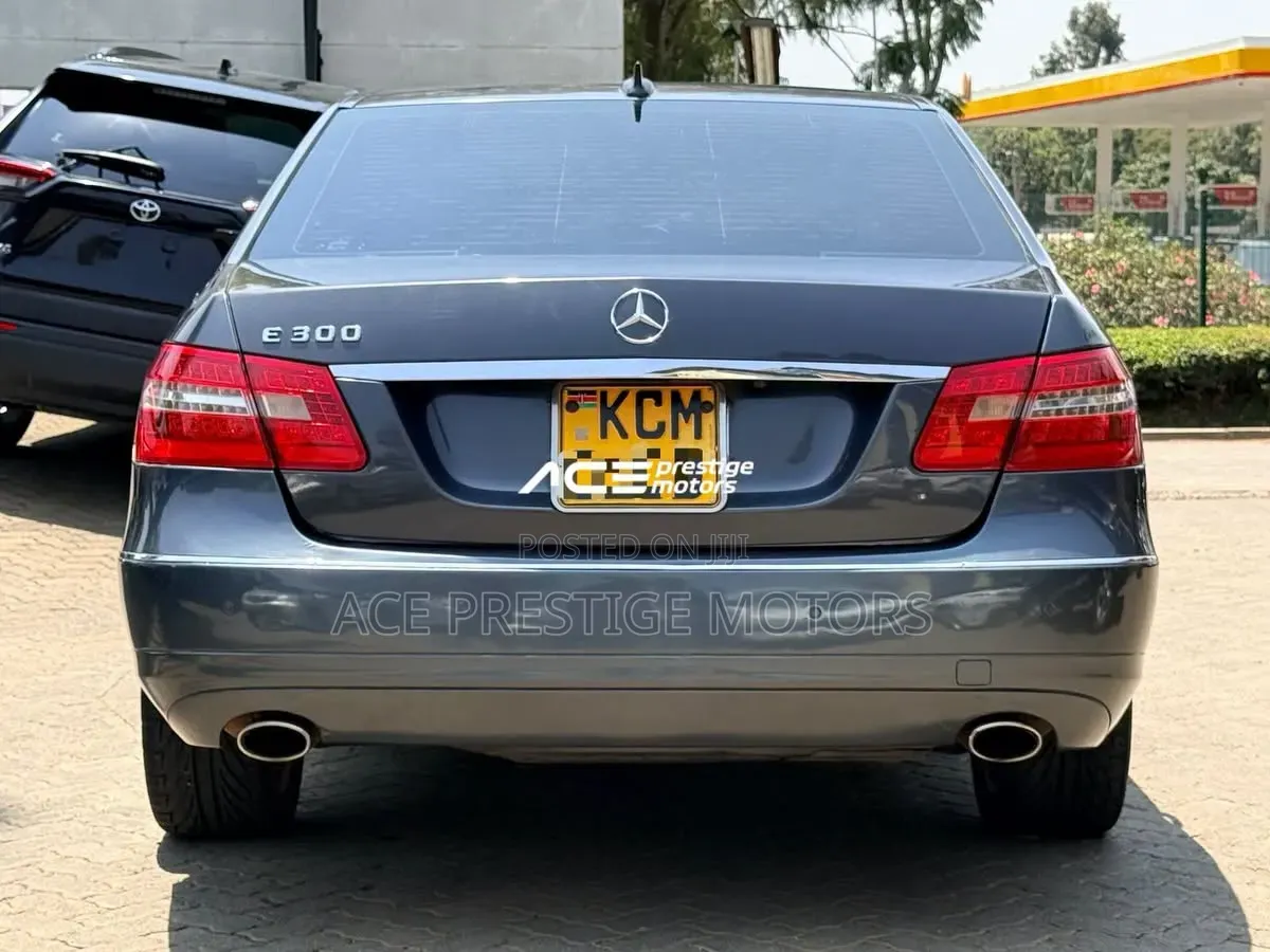 Mercedes-Benz E300 2009 Gray