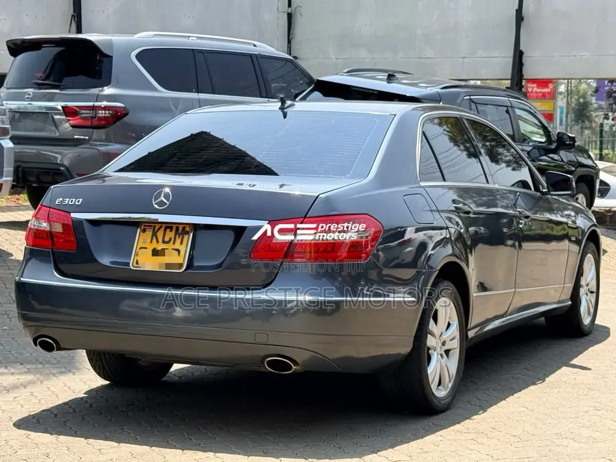 Mercedes-Benz E300 2009 Gray