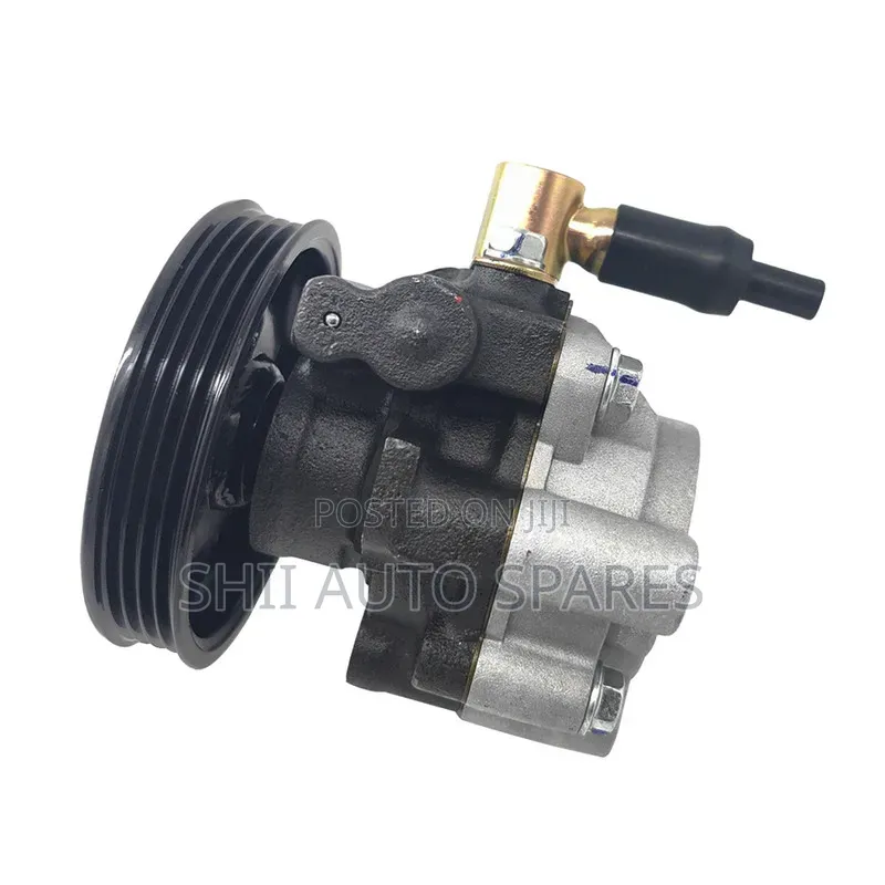 Power Steering Pump for 5l