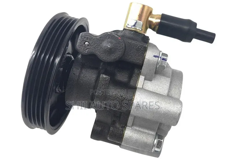 Power Steering Pump for 5l