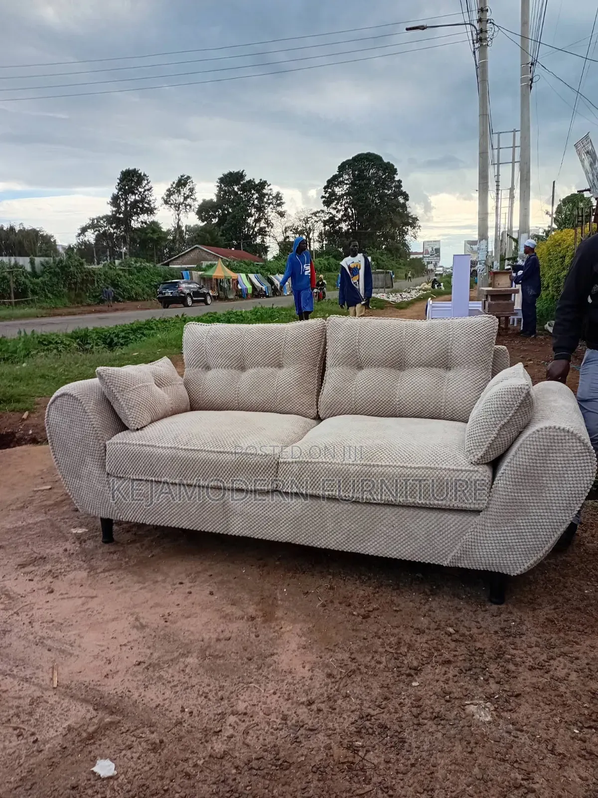 Butterfly Design Sofa