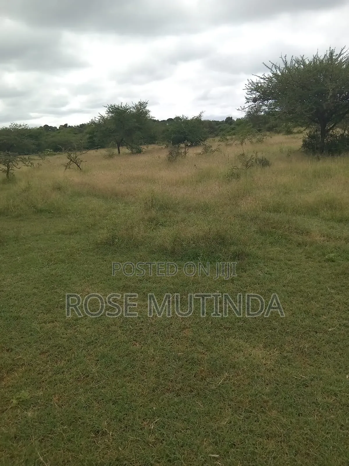 24 Acres in Mwala