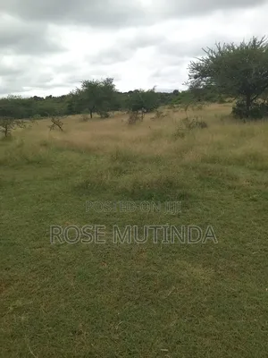 24 Acres in Mwala