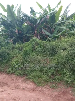 24 Acres in Mwala