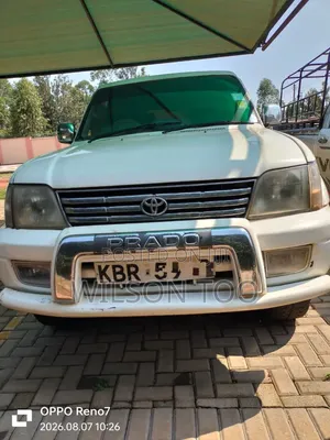 Toyota Land Cruiser Prado 2004 Gray