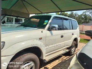 Toyota Land Cruiser Prado 2004 Gray