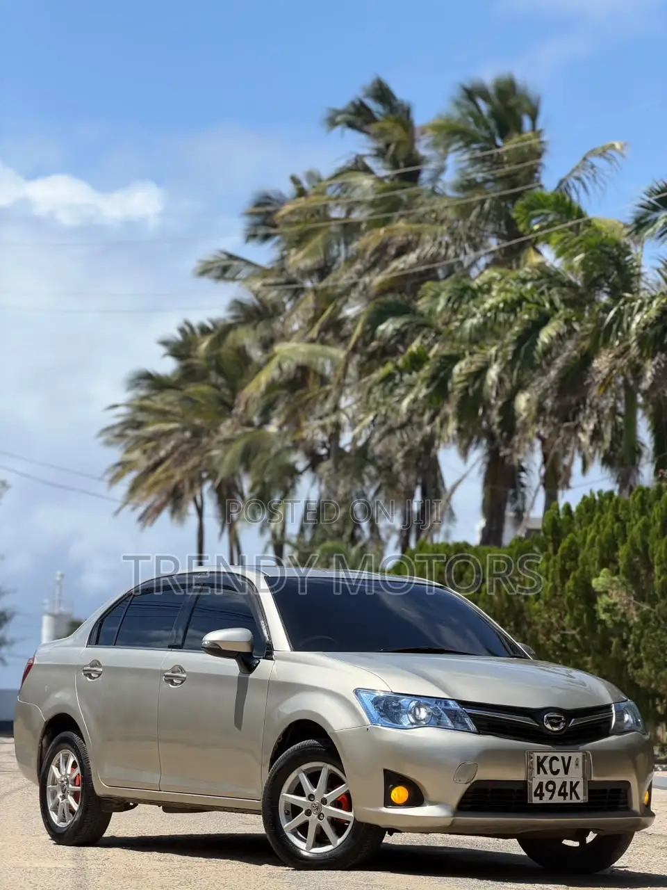 Toyota Axio 2011 Gold