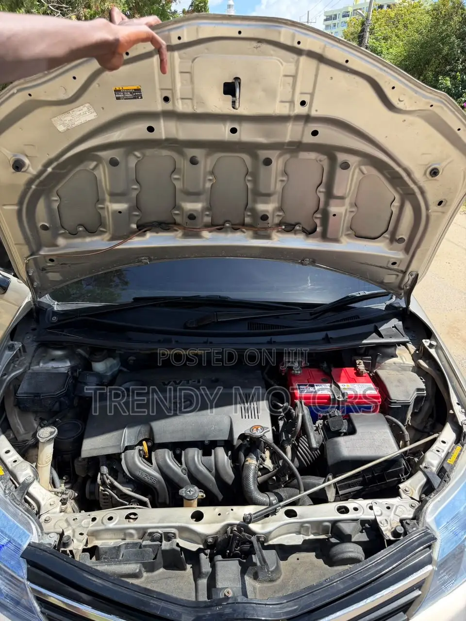 Toyota Axio 2011 Gold