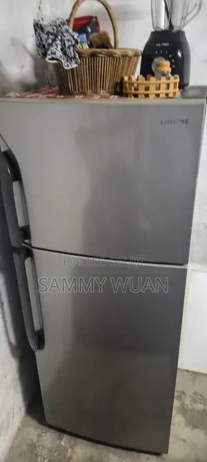 Samsung Fridge