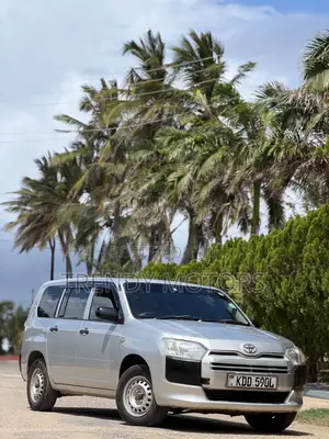 Toyota Probox 2015 Silver