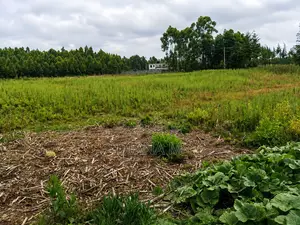 Lucrative 12-Acre Agricultural Holding in Kasuku, Nyandarua