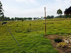 Lucrative 12-Acre Agricultural Holding in Kasuku, Nyandarua