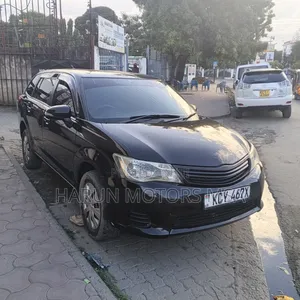 Toyota Corolla Fielder 2013 Black
