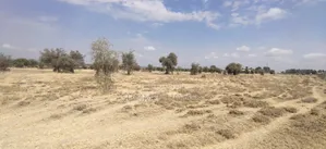 Prime 10 Acres Land in Kitengela, Kisaju Along Namanga Road for Sale