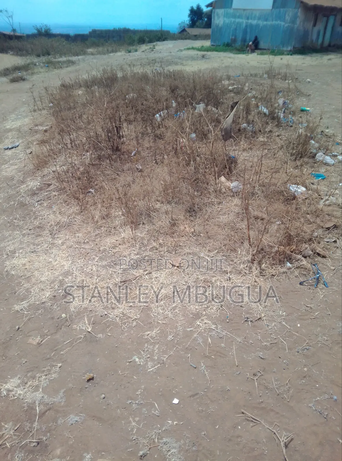 Plots in LTK