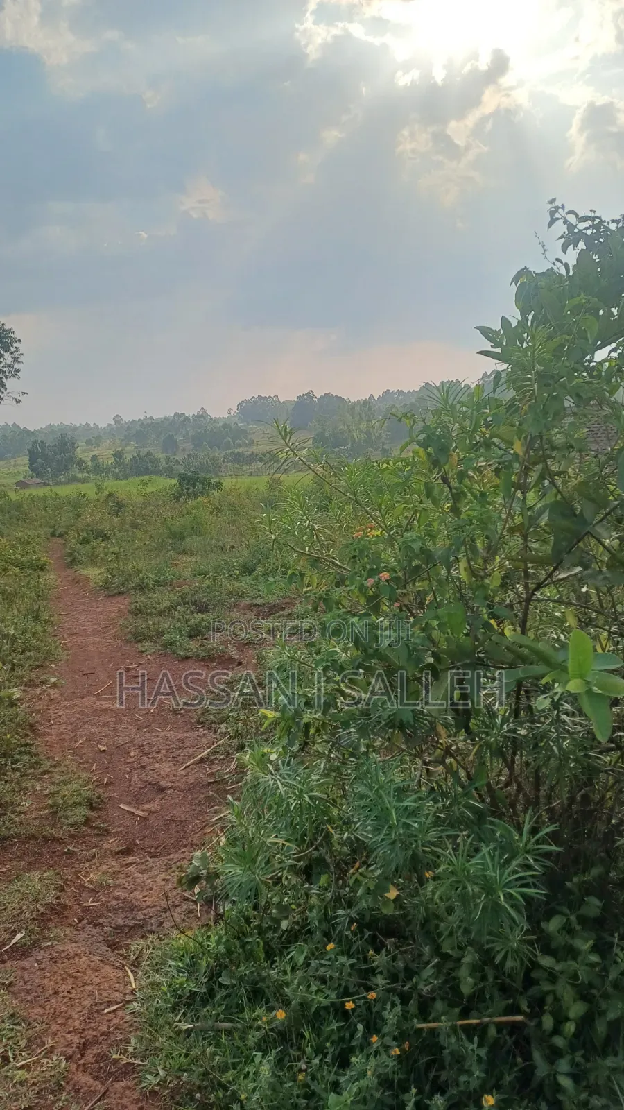 8acres 4 Sale Matungu.