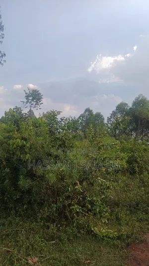 8acres 4 Sale Matungu.