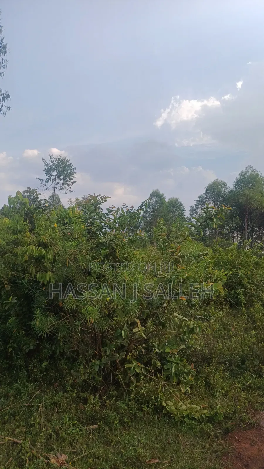 8acres 4 Sale Matungu.
