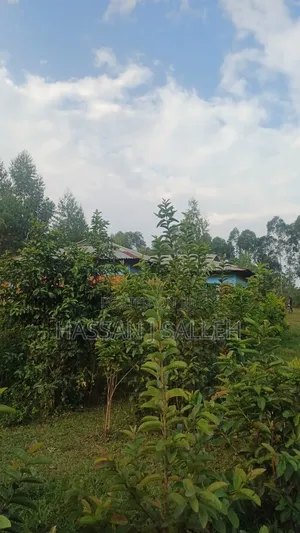8acres 4 Sale Matungu.