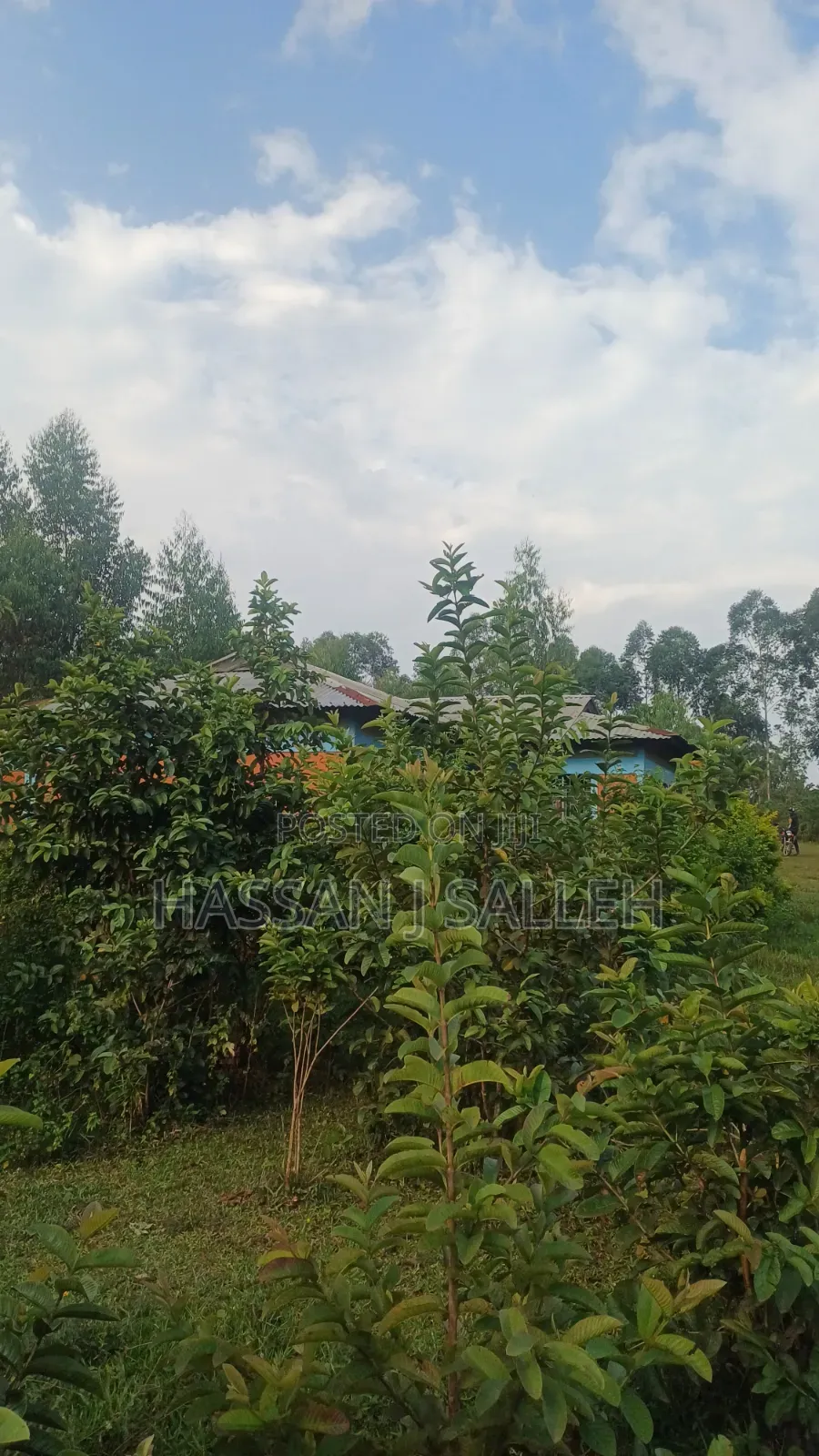 8acres 4 Sale Matungu.
