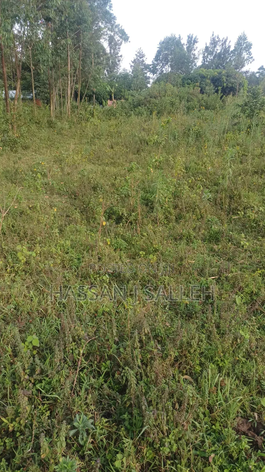 8acres 4 Sale Matungu.