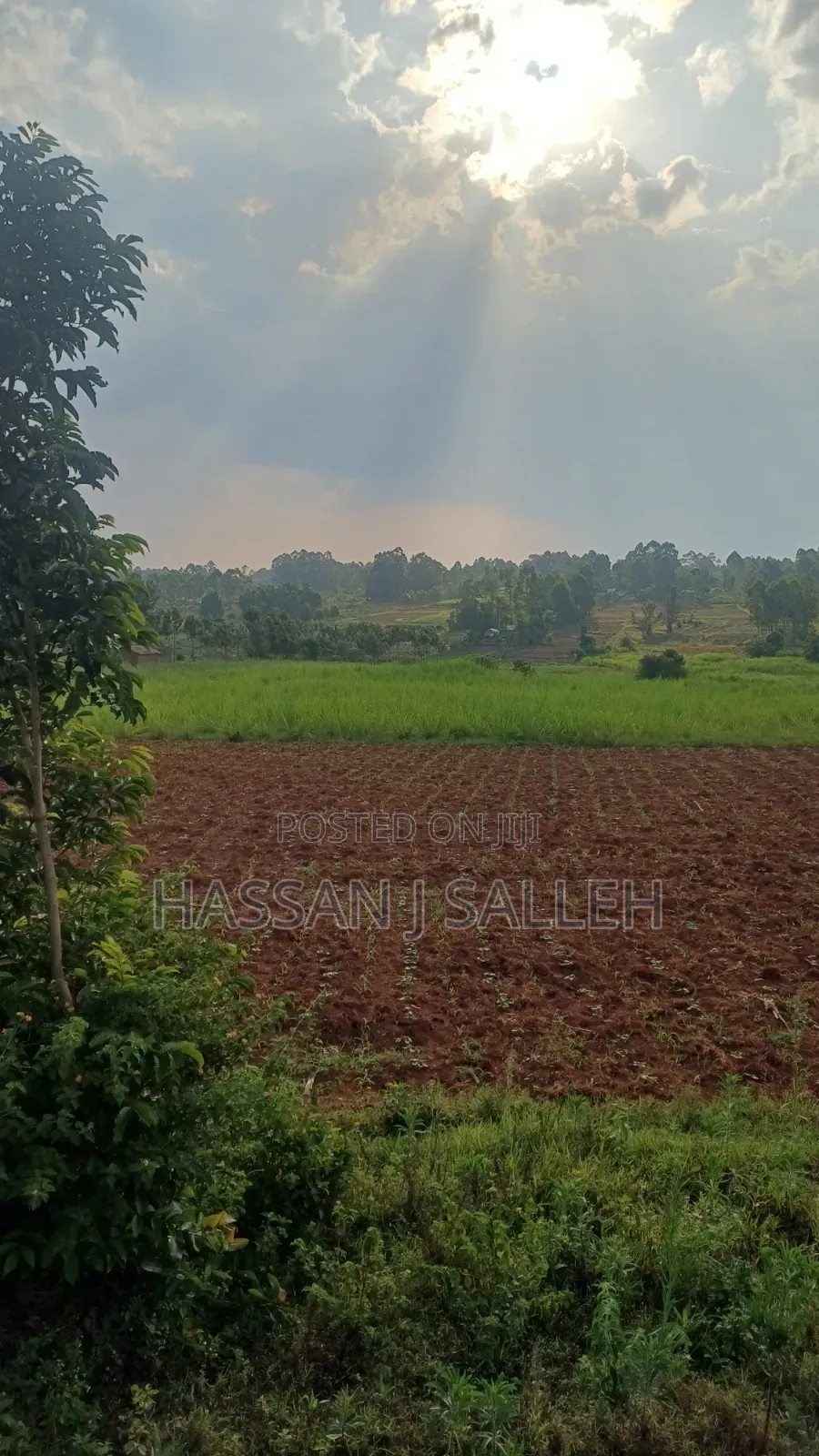 8acres 4 Sale Matungu.