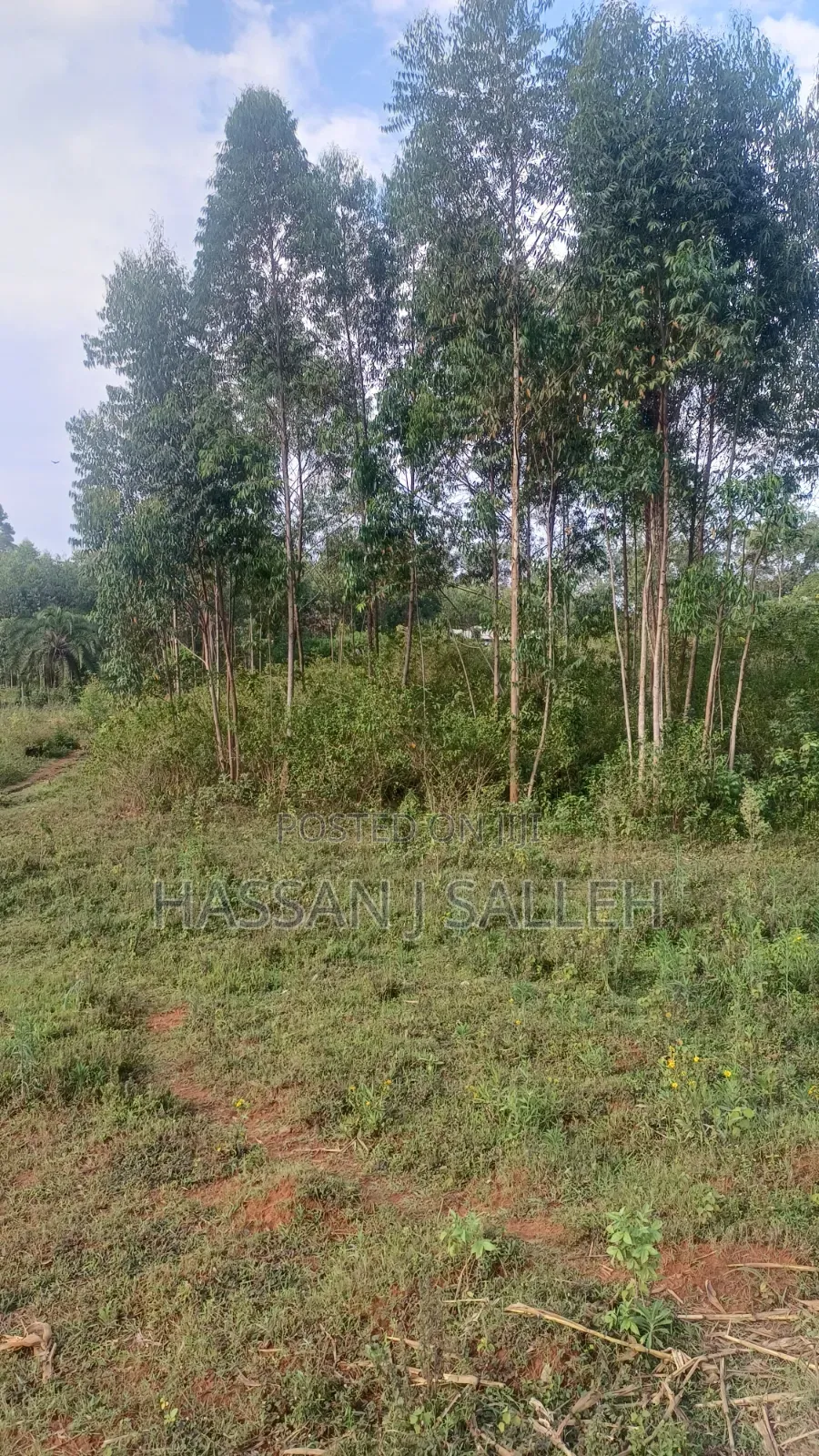 8acres 4 Sale Matungu.
