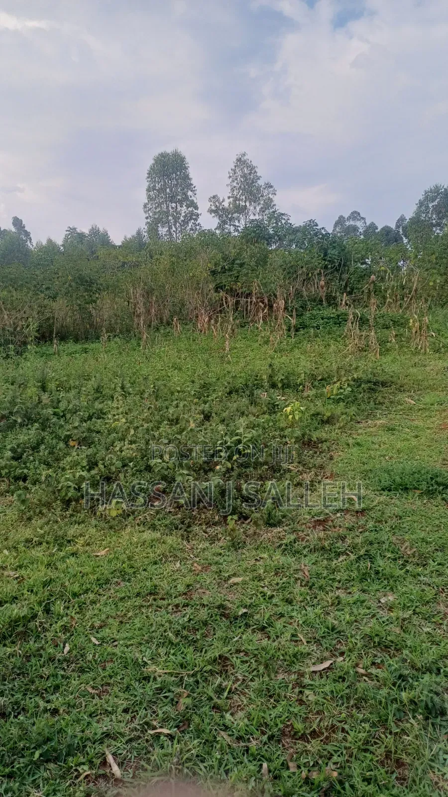 8acres 4 Sale Matungu.