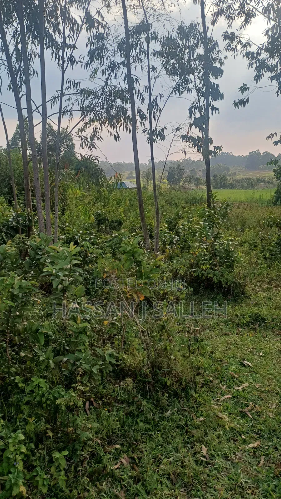 8acres 4 Sale Matungu.