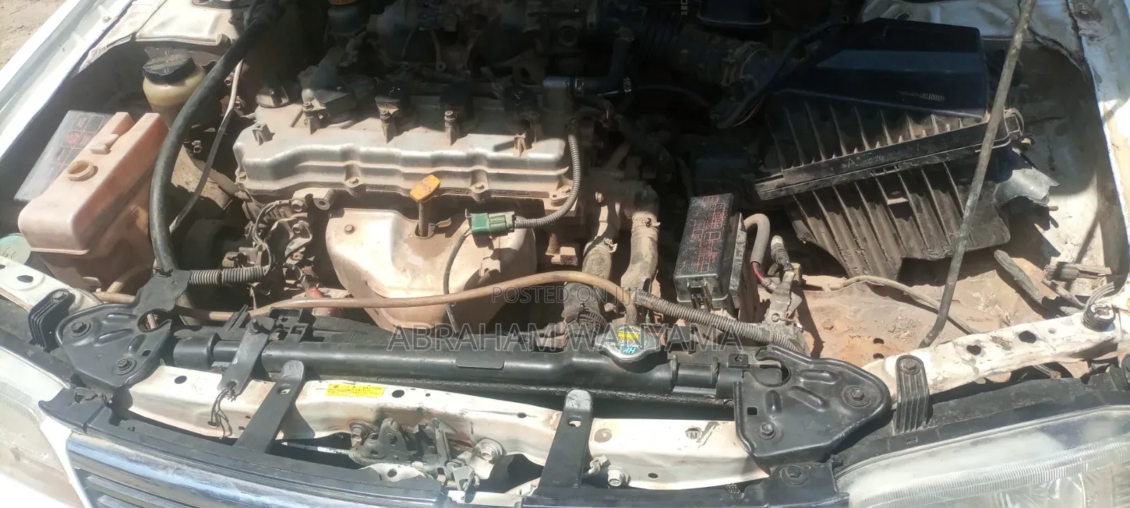 Nissan FB15 2004 White
