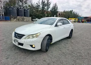 Toyota Mark X 2010 White