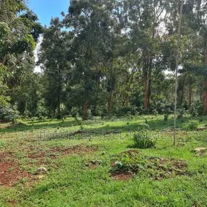 Prime 1.2 Acres for Sale