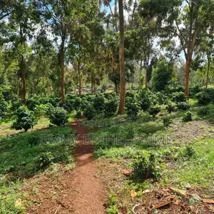 Prime 1.2 Acres for Sale