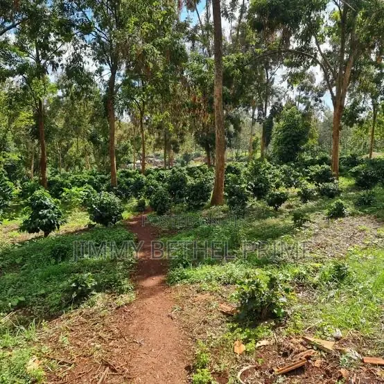 Prime 1.2 Acres for Sale