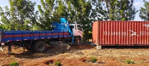Plain 20FT and 40FT Containers for Sale (With Documents)