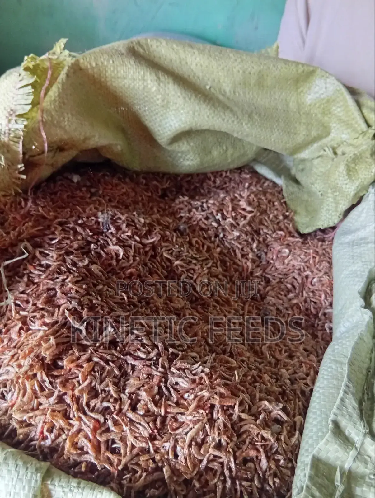 Ochonga/Animal Feeds/Supplements