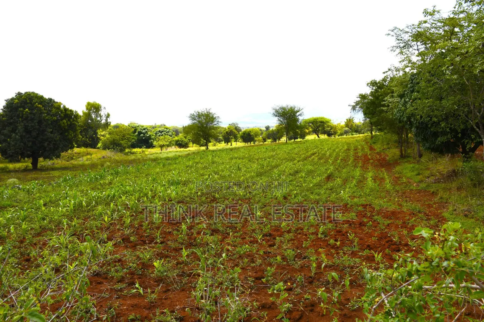 Affordable Plots