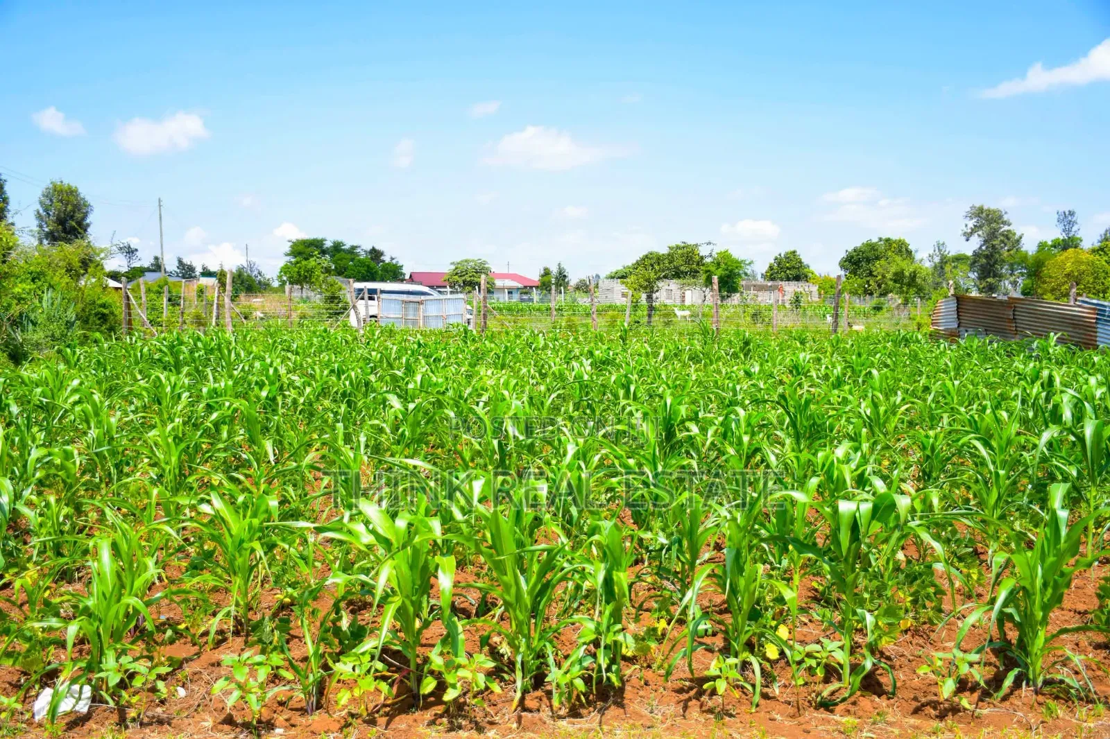 Affordable Plots