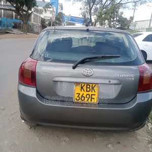 Toyota Allex 2002 Gray