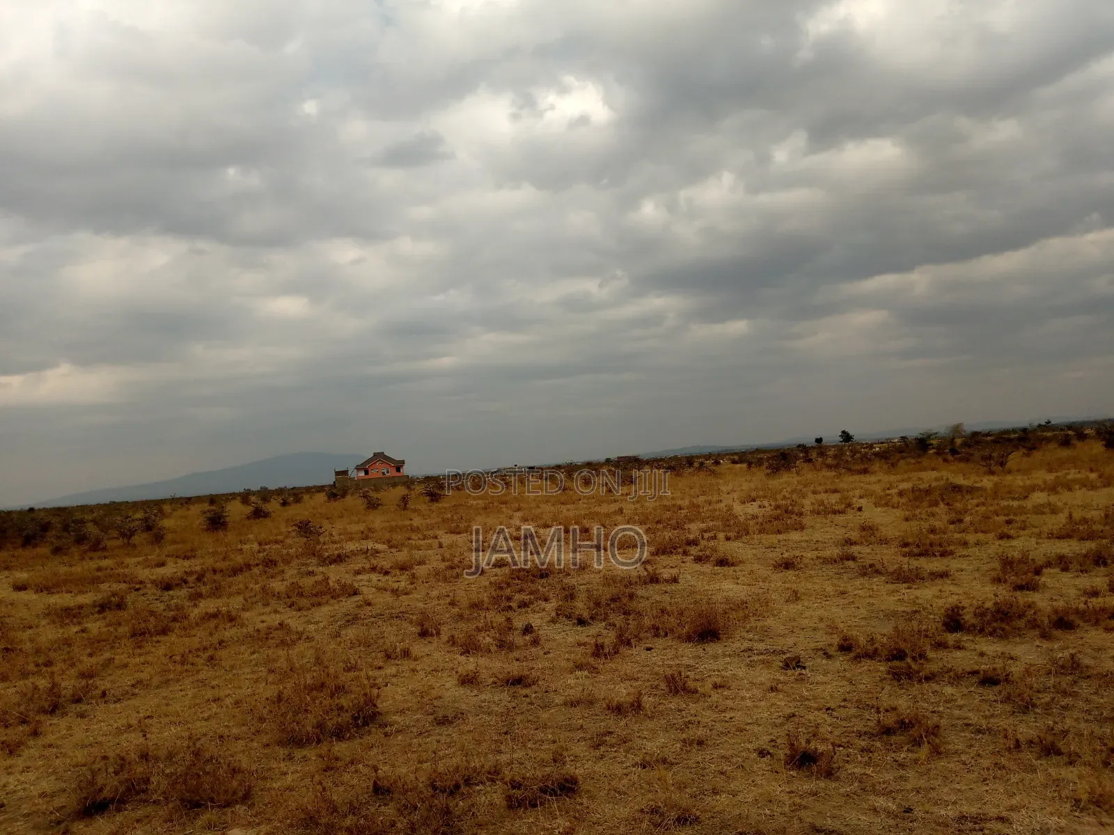 Mwalimu Farm Ruiru East