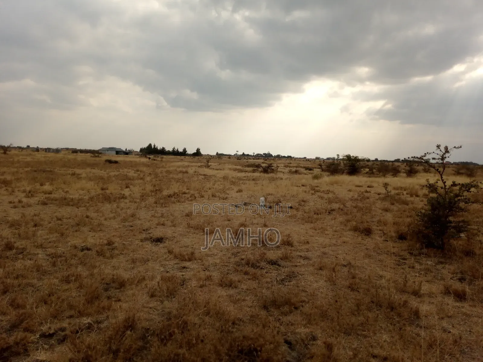 Mwalimu Farm Ruiru East