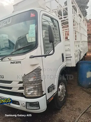 Isuzu NQR Yom 2022