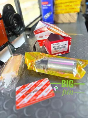 Fuel Pump Small Pin and Big Pin